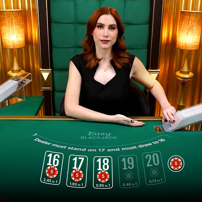 Blackjack 14a8pg